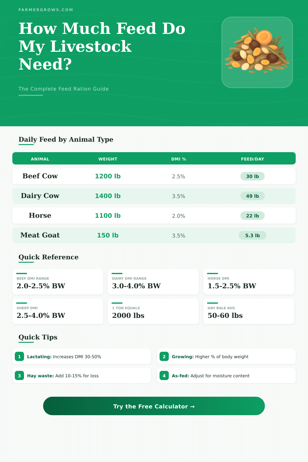 Livestock Feed Ration Calculator: How Much Feed Do I Need?