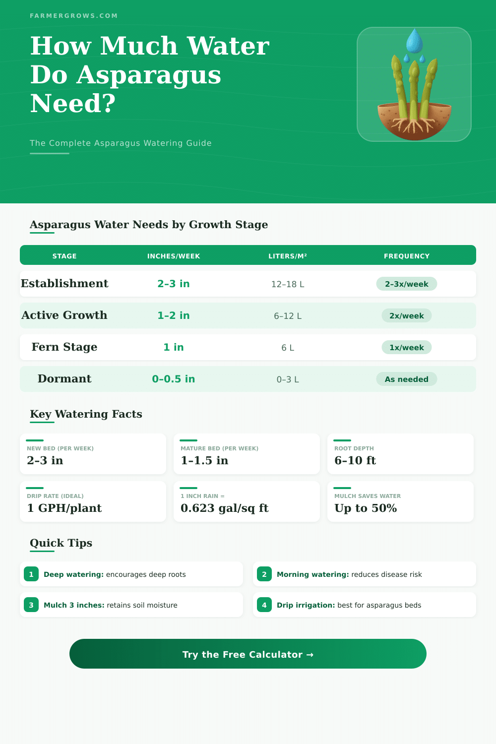 Asparagus Water Calculator: How Much Water Do They Need?