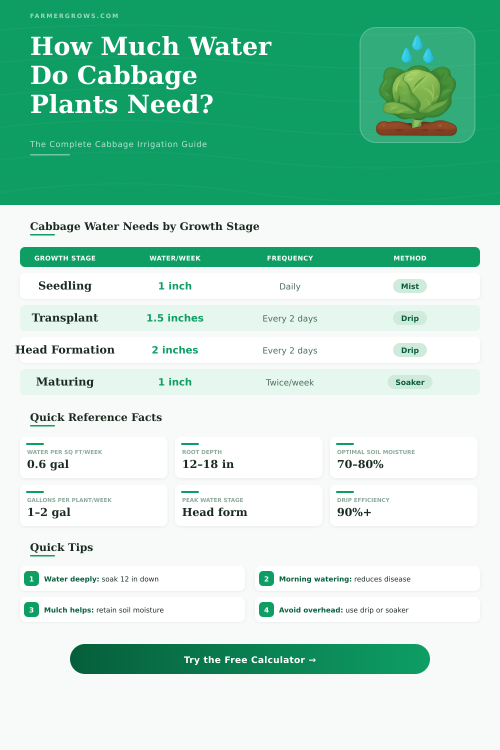 Cabbage Water Calculator: How Much Water Do Cabbage Plants Need?