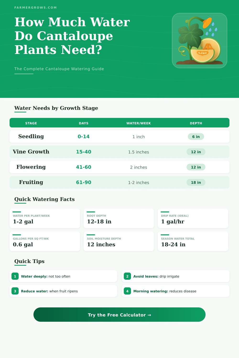 Cantaloupe Water Calculator: How Much Water Do Plants Need?