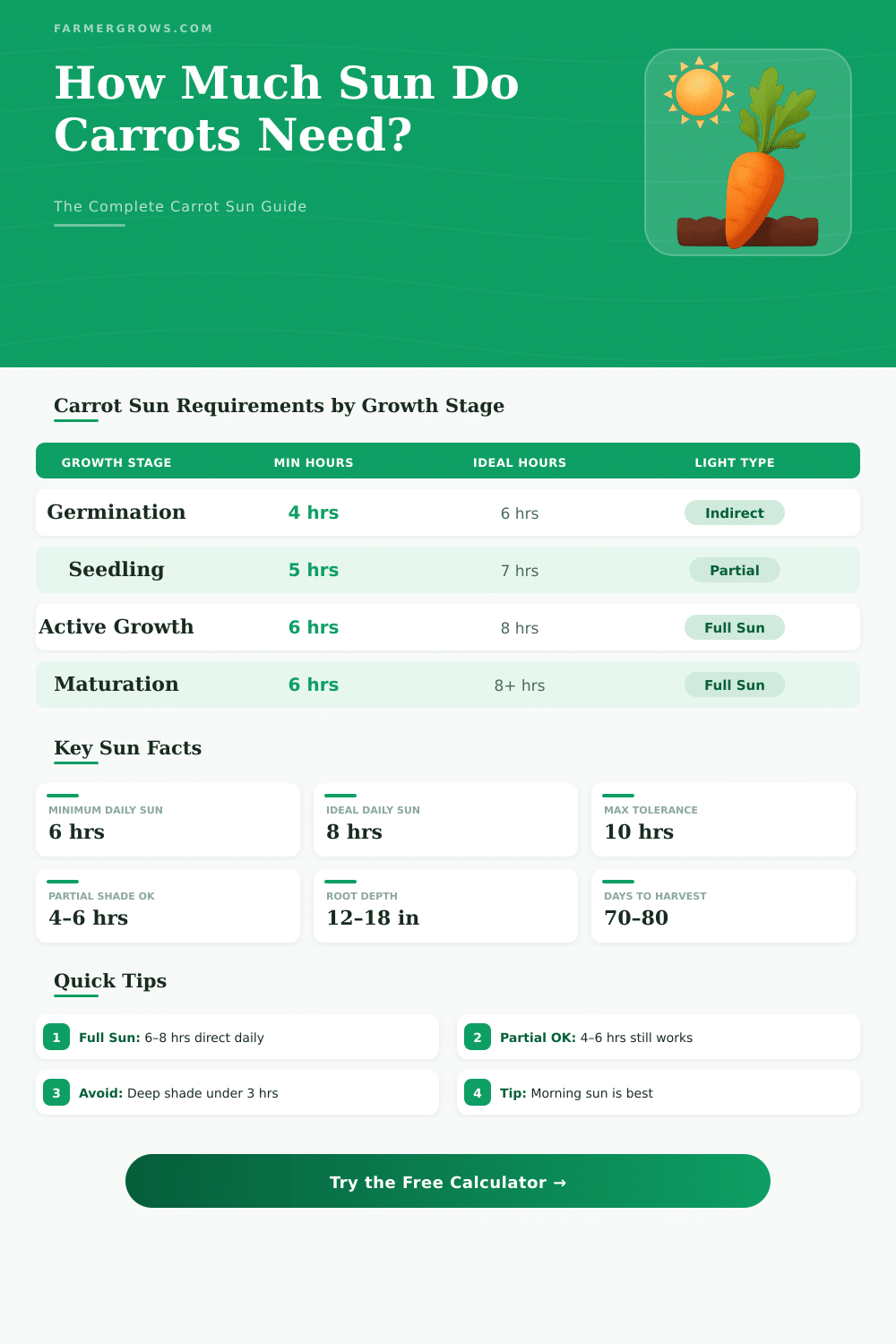 Carrot Sunlight Calculator: How Much Sun Does Carrot Need?