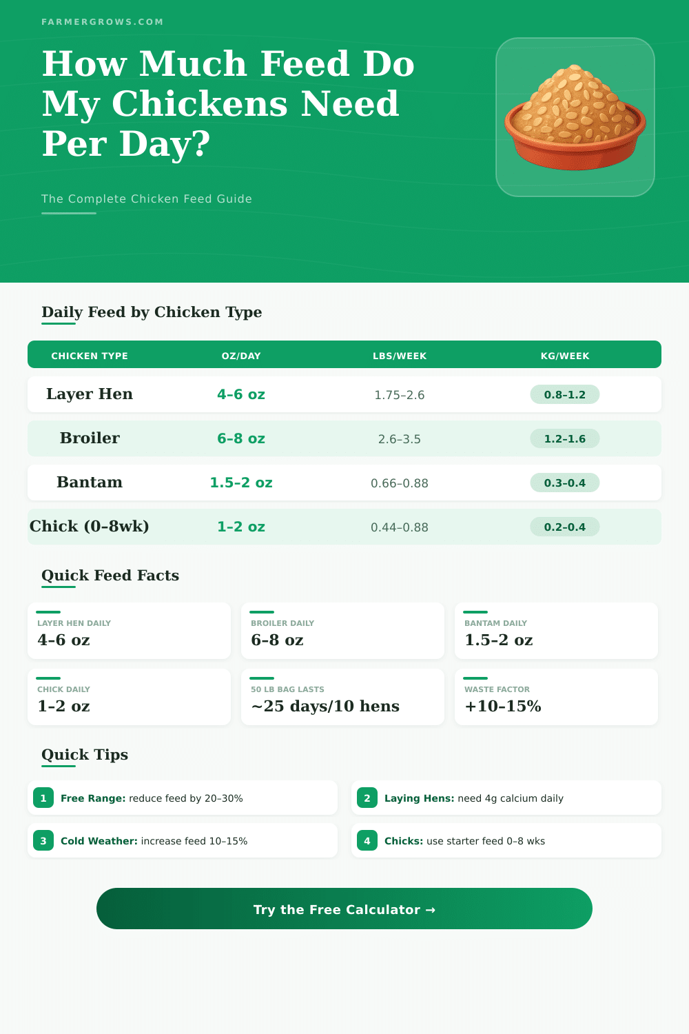Chicken Feed Per Day Calculator – How Much Feed Do My Chickens Need?