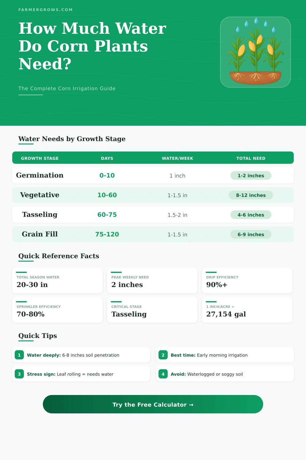 Corn Plant Water Calculator: How Much Water Do Corn Plants Need?