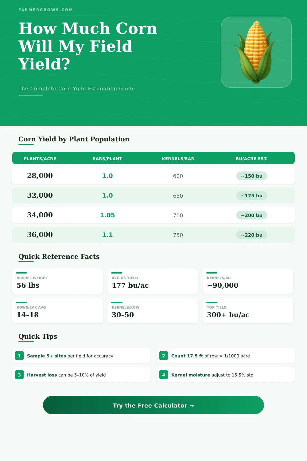 Corn Yield Per Acre Calculator: Estimate Your Harvest