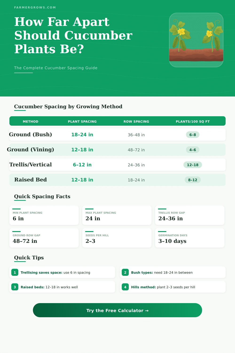 Cucumber Plant Spacing Calculator: How Far Apart to Plant?