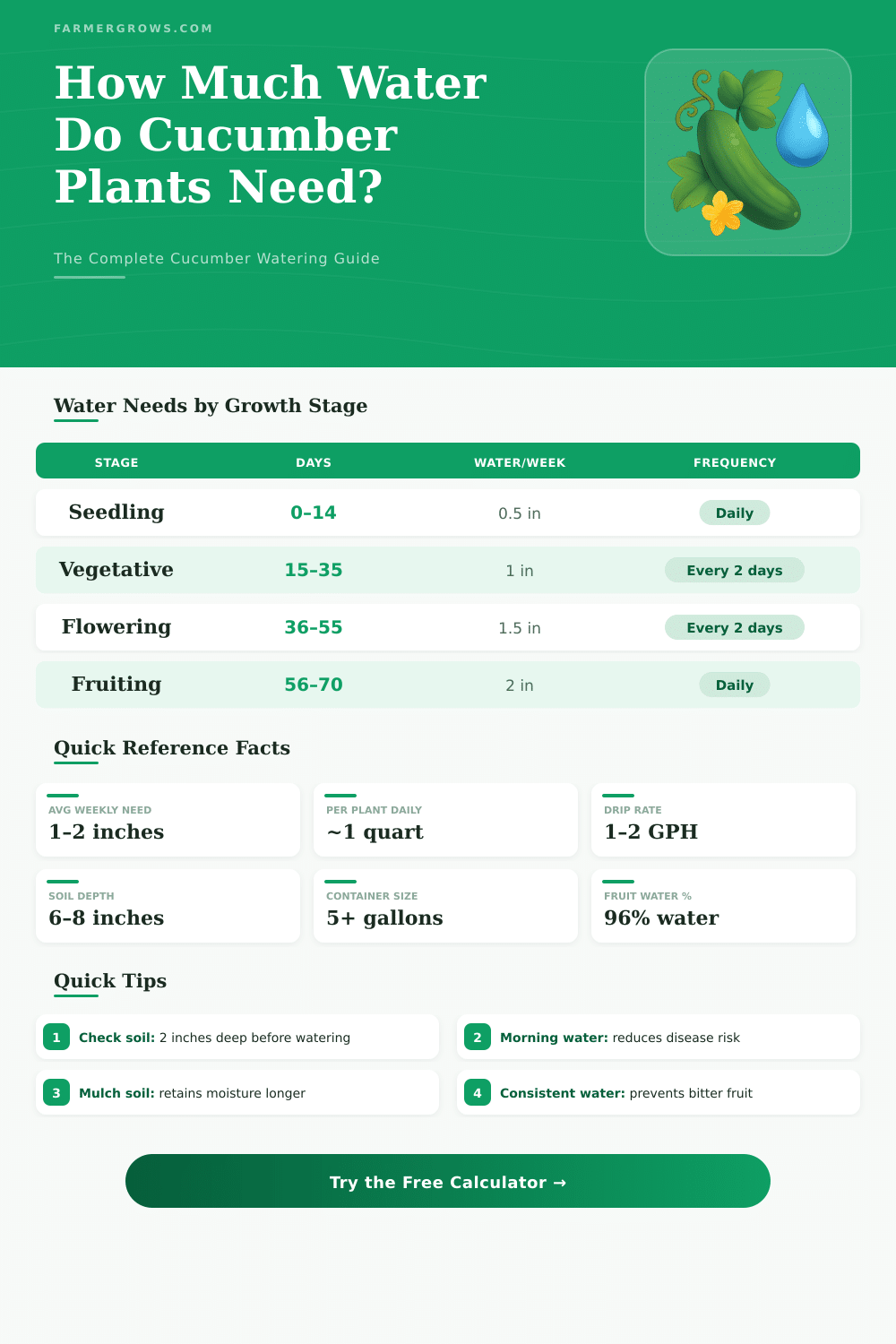 Cucumber Plant Water Calculator – How Much Water Do They Need?