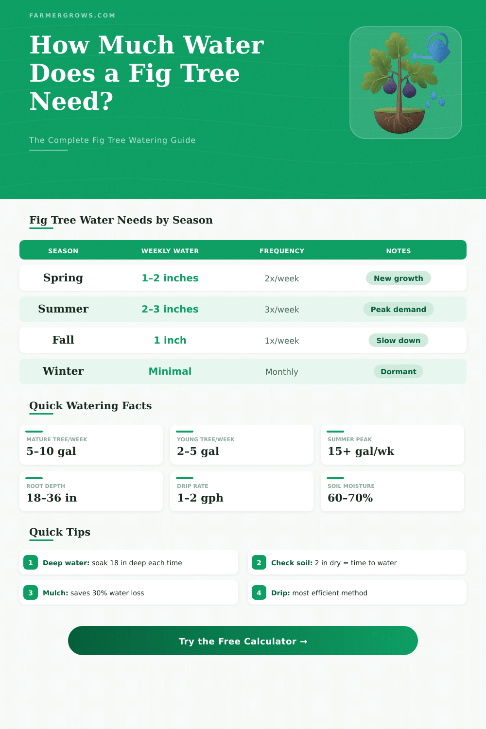 Fig Tree Water Calculator: How Much Water Does a Fig Tree Need?