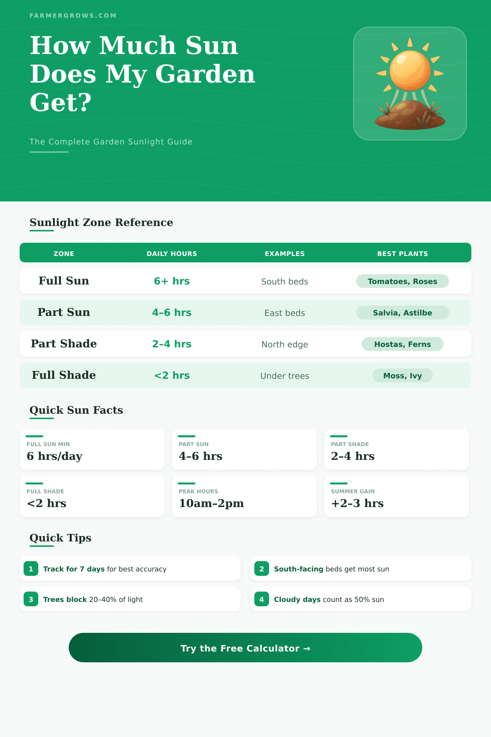 Garden Sunlight Calculator: How Much Sun Does My Garden Get?