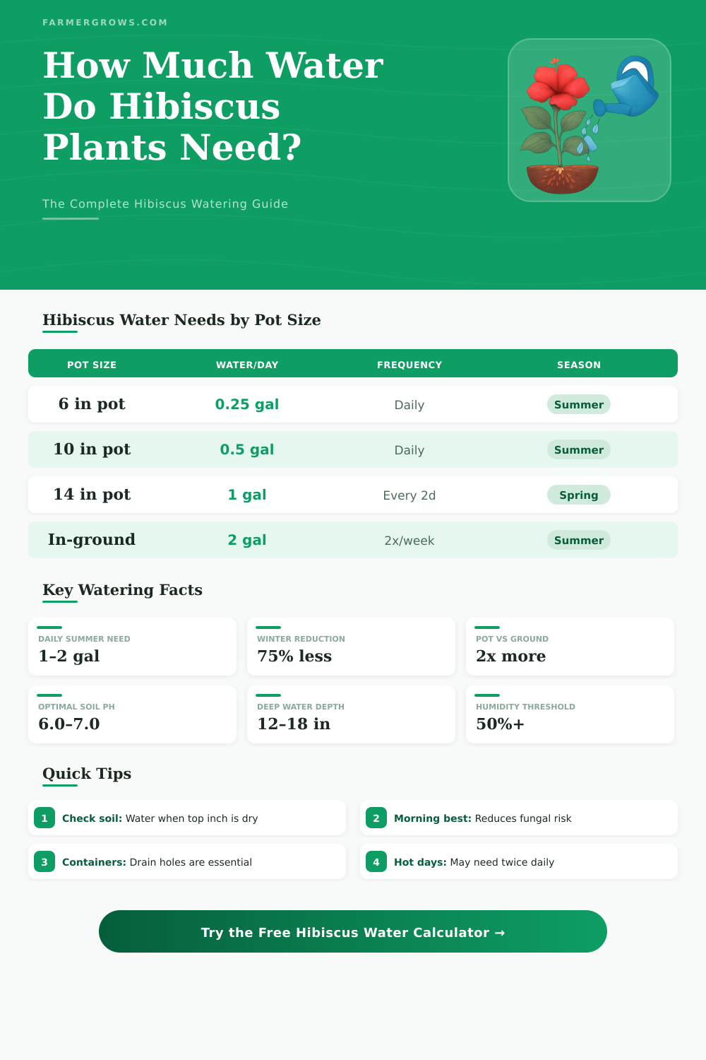 Hibiscus Water Calculator: How Much Water Does It Need?