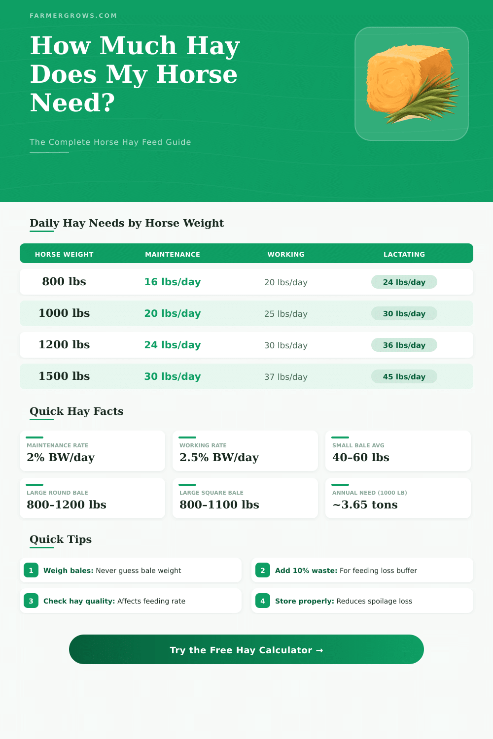 Horse Hay Feed Calculator: How Much Hay Does My Horse Need?