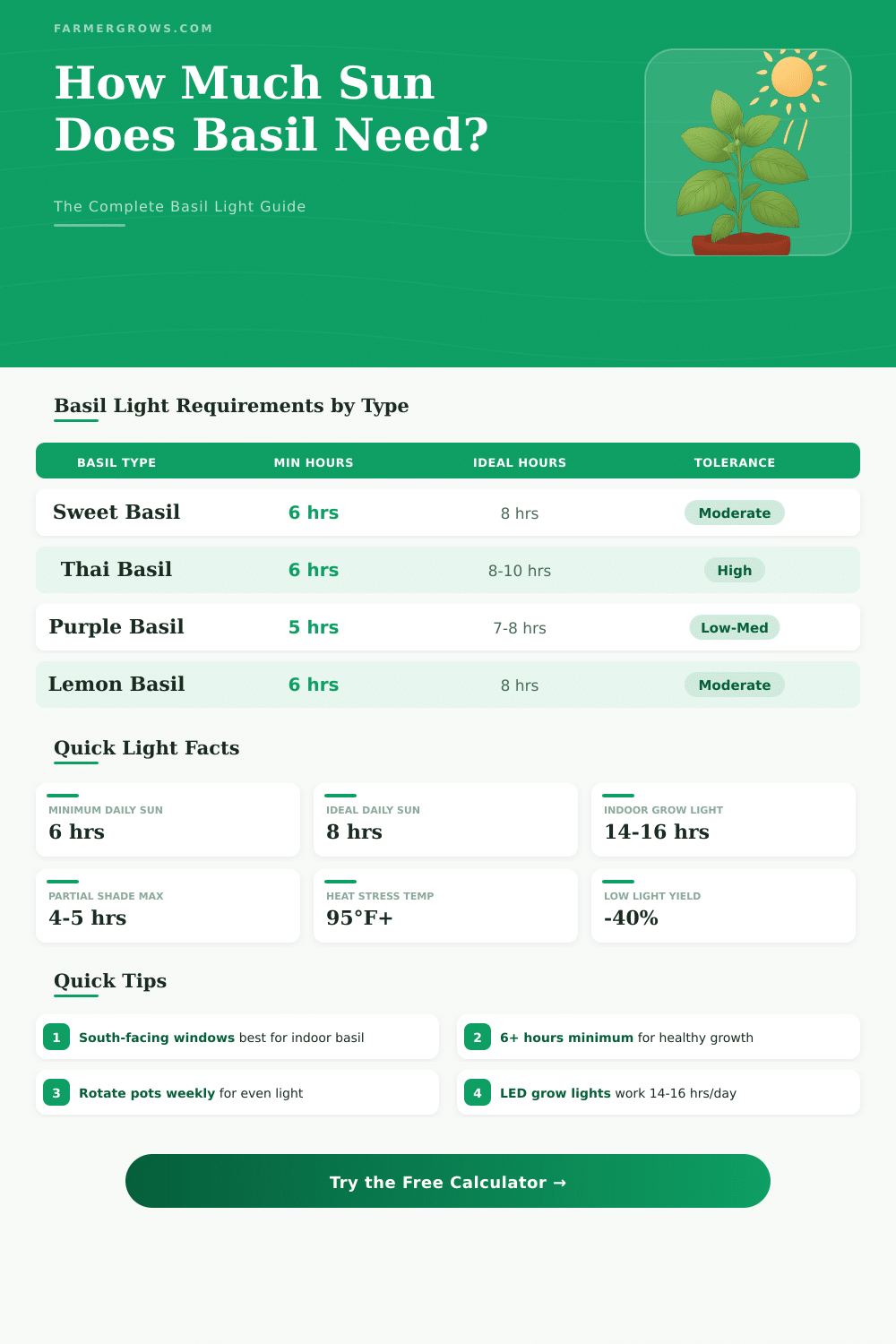 How Much Sun Does Basil Need? Light Calculator & Guide