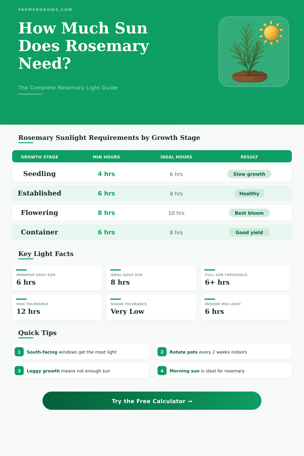 How Much Sun Does Rosemary Need? Light Calculator & Guide