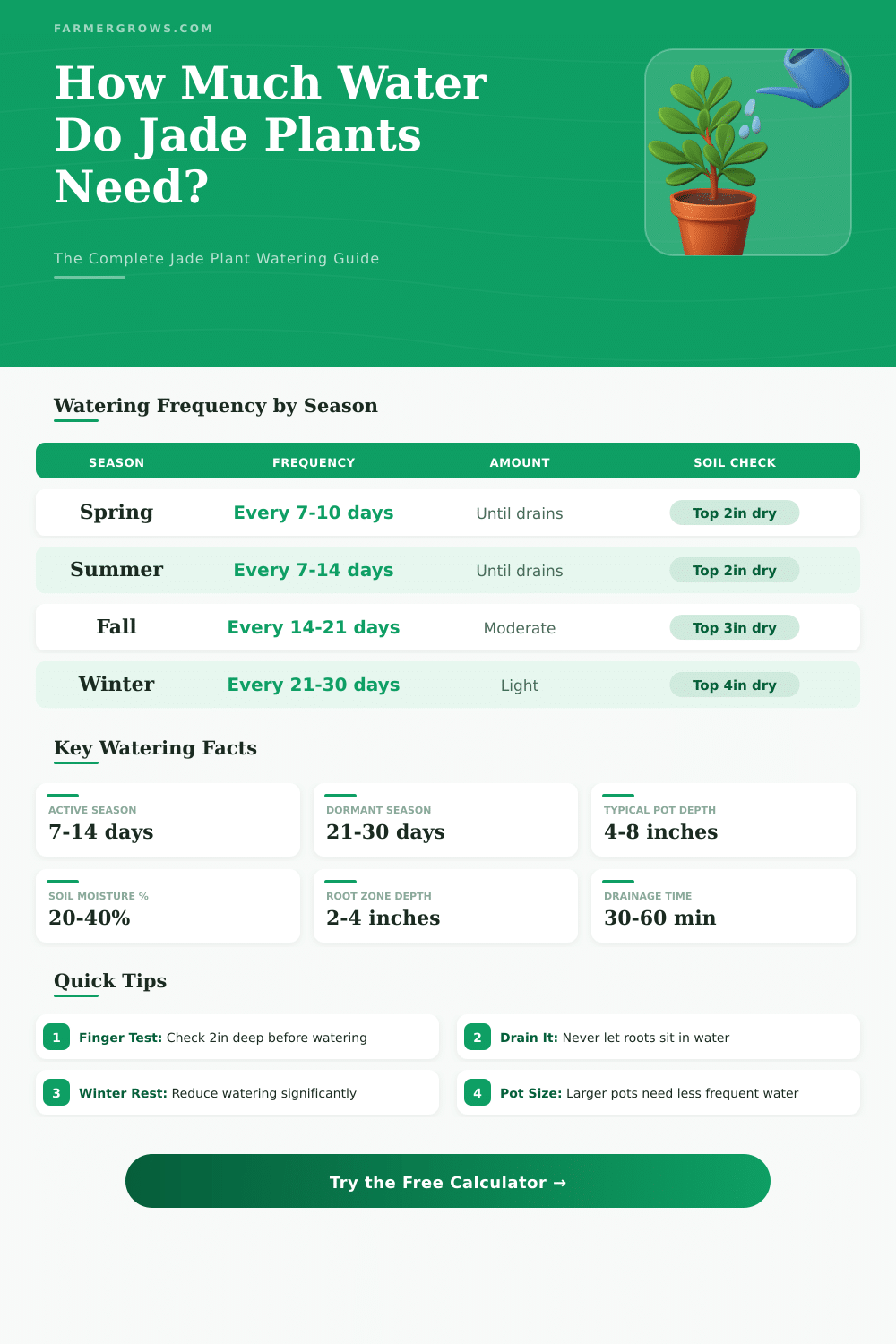 Jade Plant Water Calculator: How Much Water Does It Need?