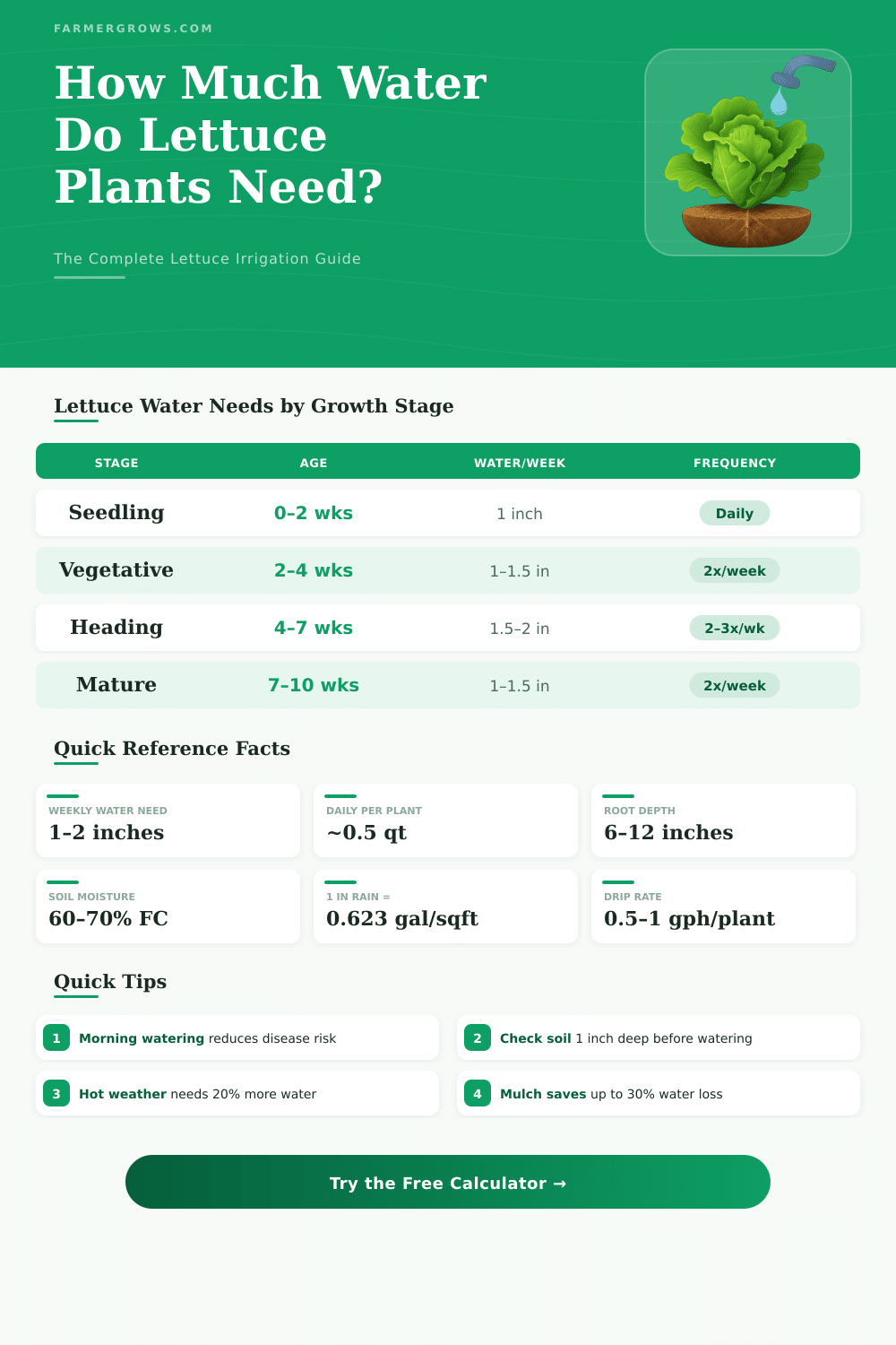 Lettuce Water Calculator: How Much Water Do Lettuce Plants Need?