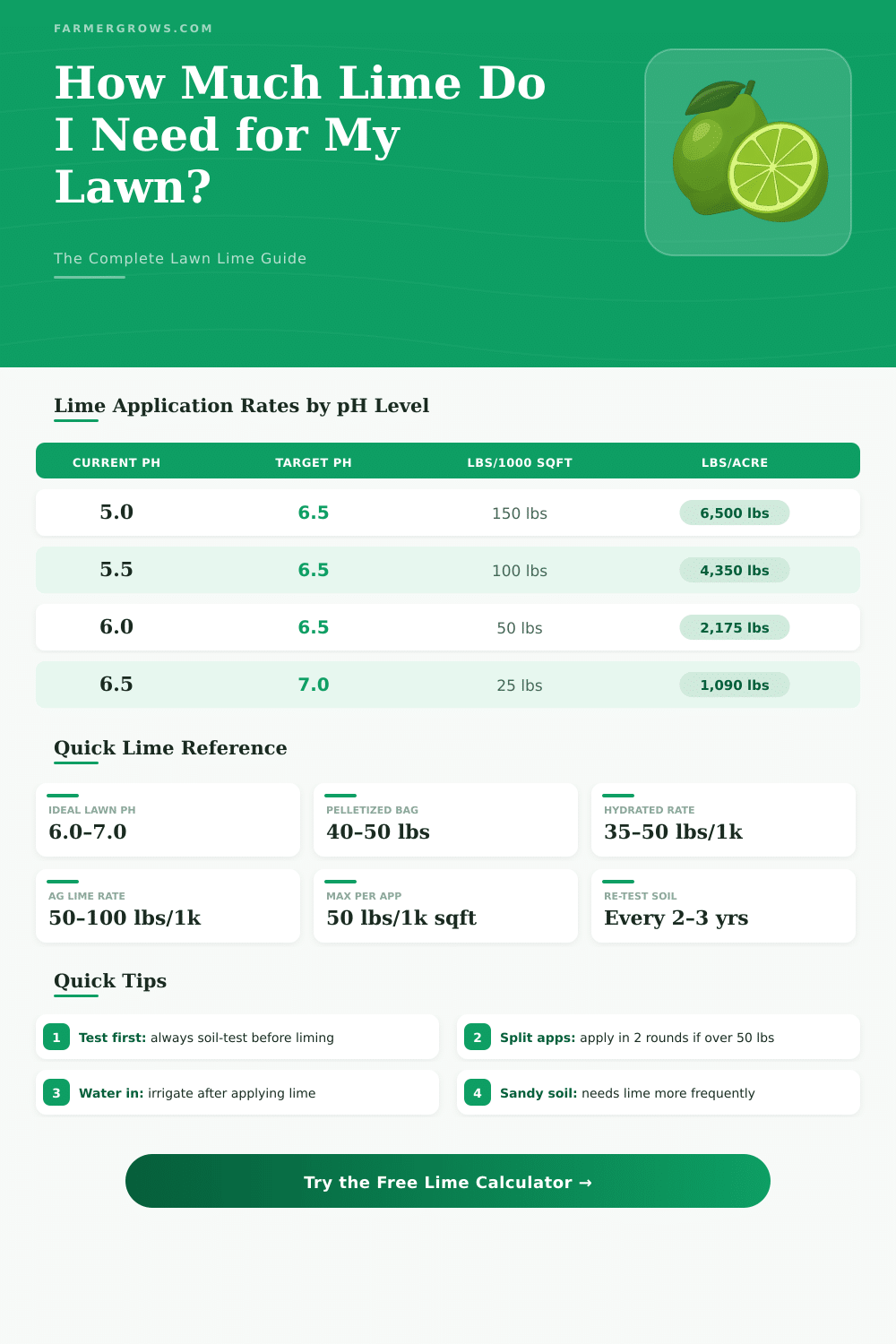 Lime Calculator: How Much Lime Do I Need for My Lawn?