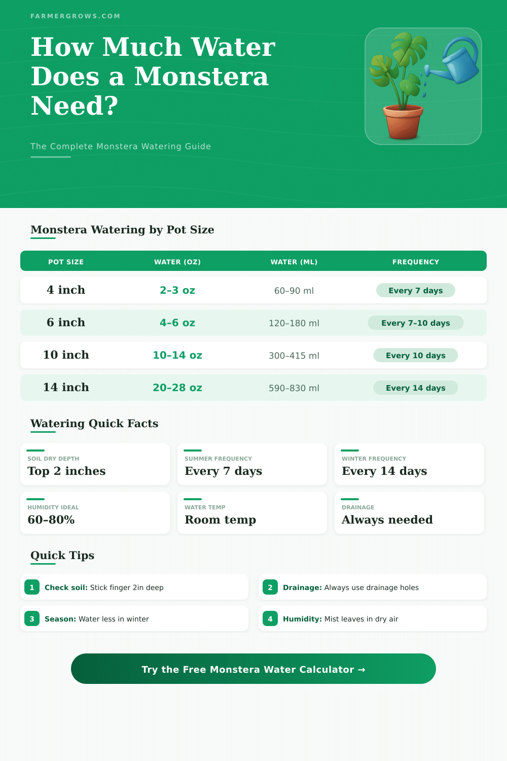 Monstera Water Calculator: How Much Water Does My Plant Need?