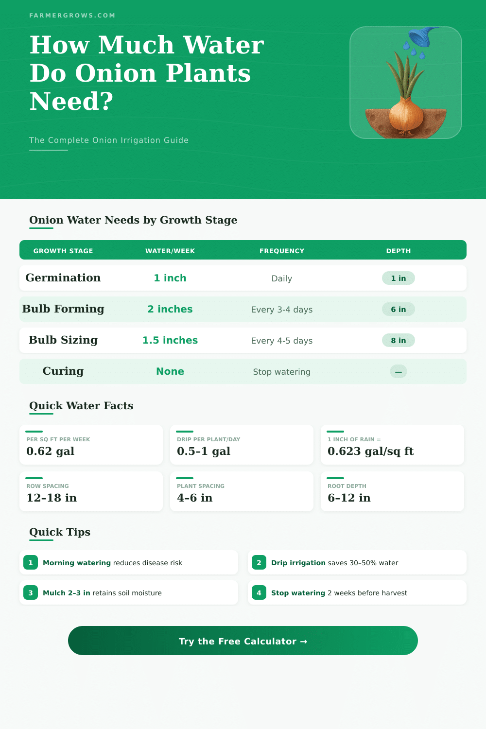 Onion Plant Water Calculator – How Much Water Do I Need?