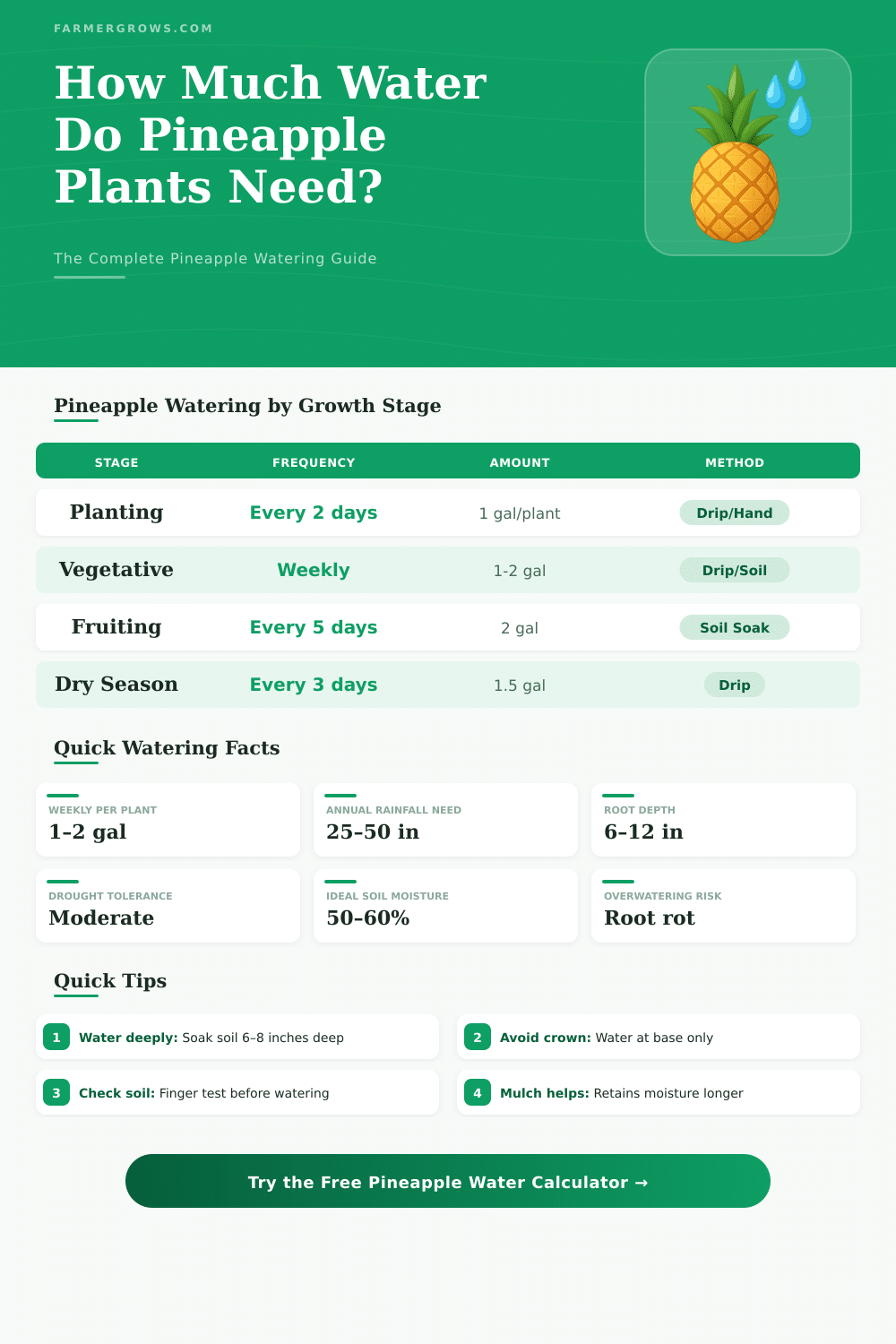 Pineapple Plant Water Calculator – How Much Water Do I Need?