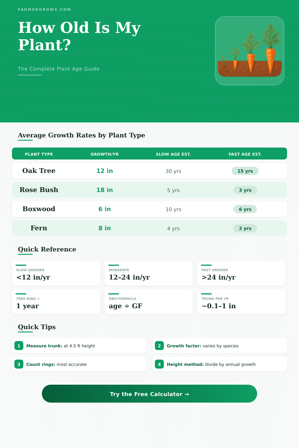 Plant Age Calculator: How Old Is My Plant?