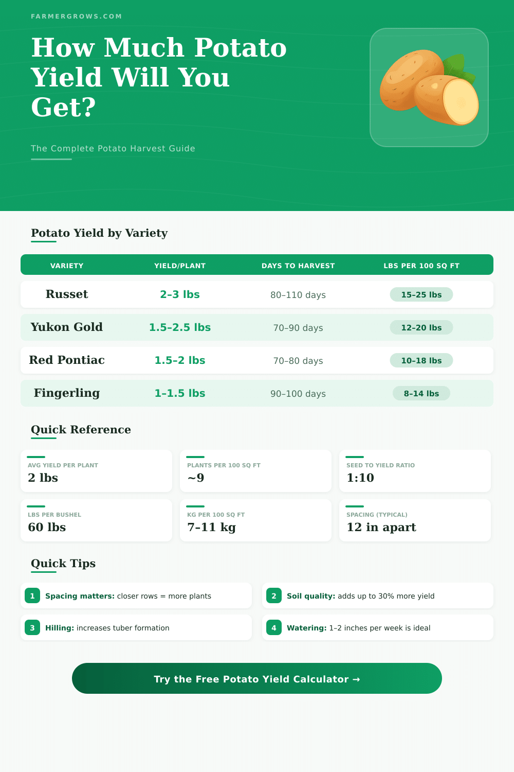Potato Yield Calculator: How Much Will Your Crop Produce?