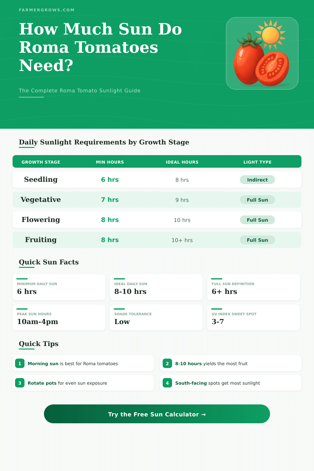 Roma Tomato Sun Calculator: How Much Sunlight Do They Need?
