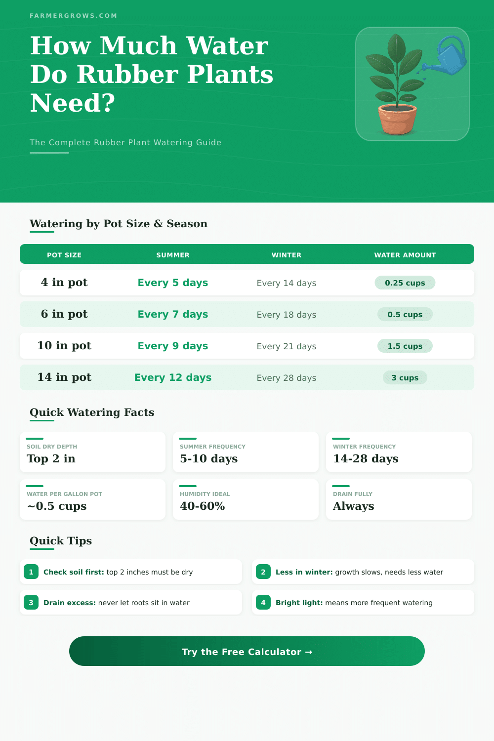 Rubber Plant Water Calculator: How Much Water Does It Need?