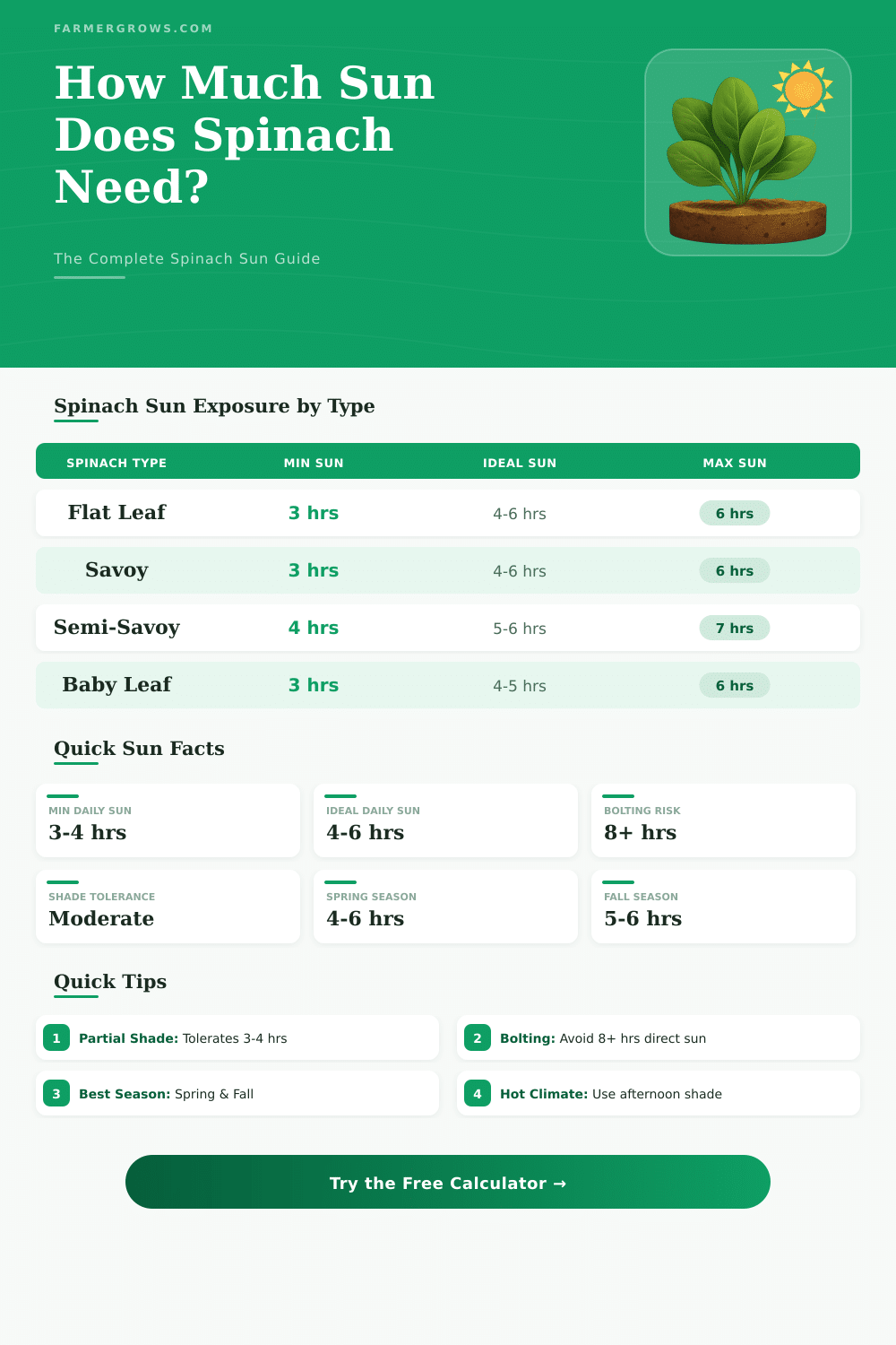 Spinach Sunlight Calculator: How Much Sun Does Spinach Need?