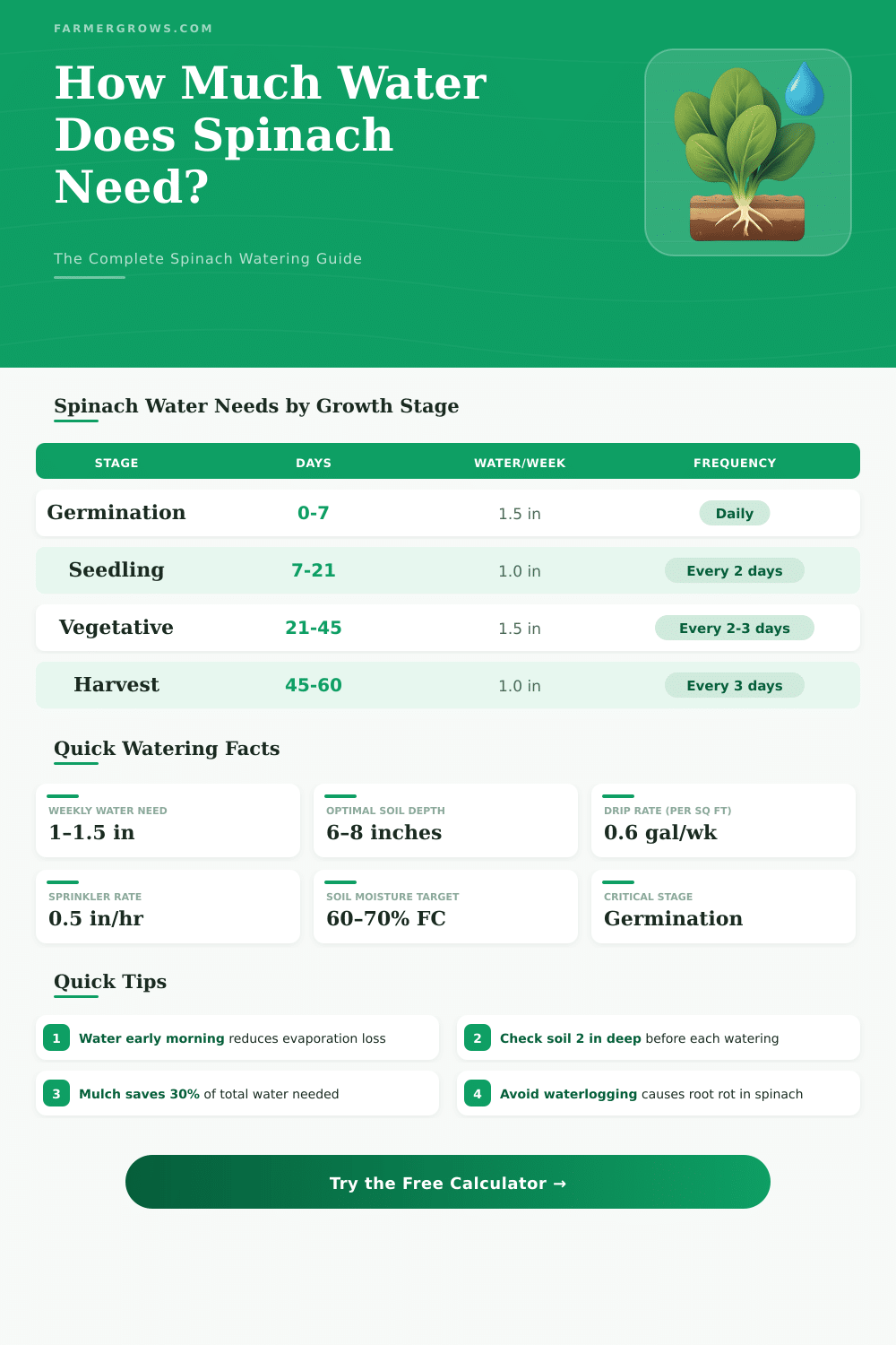 Spinach Water Calculator: How Much Water Does Spinach Need?