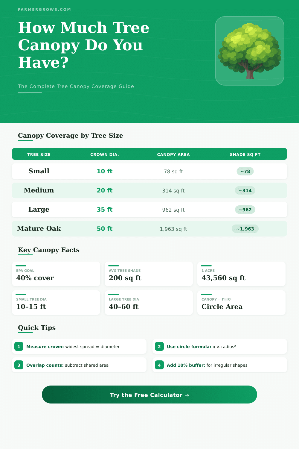 Tree Canopy Calculator: How Much Canopy Coverage Do I Need?