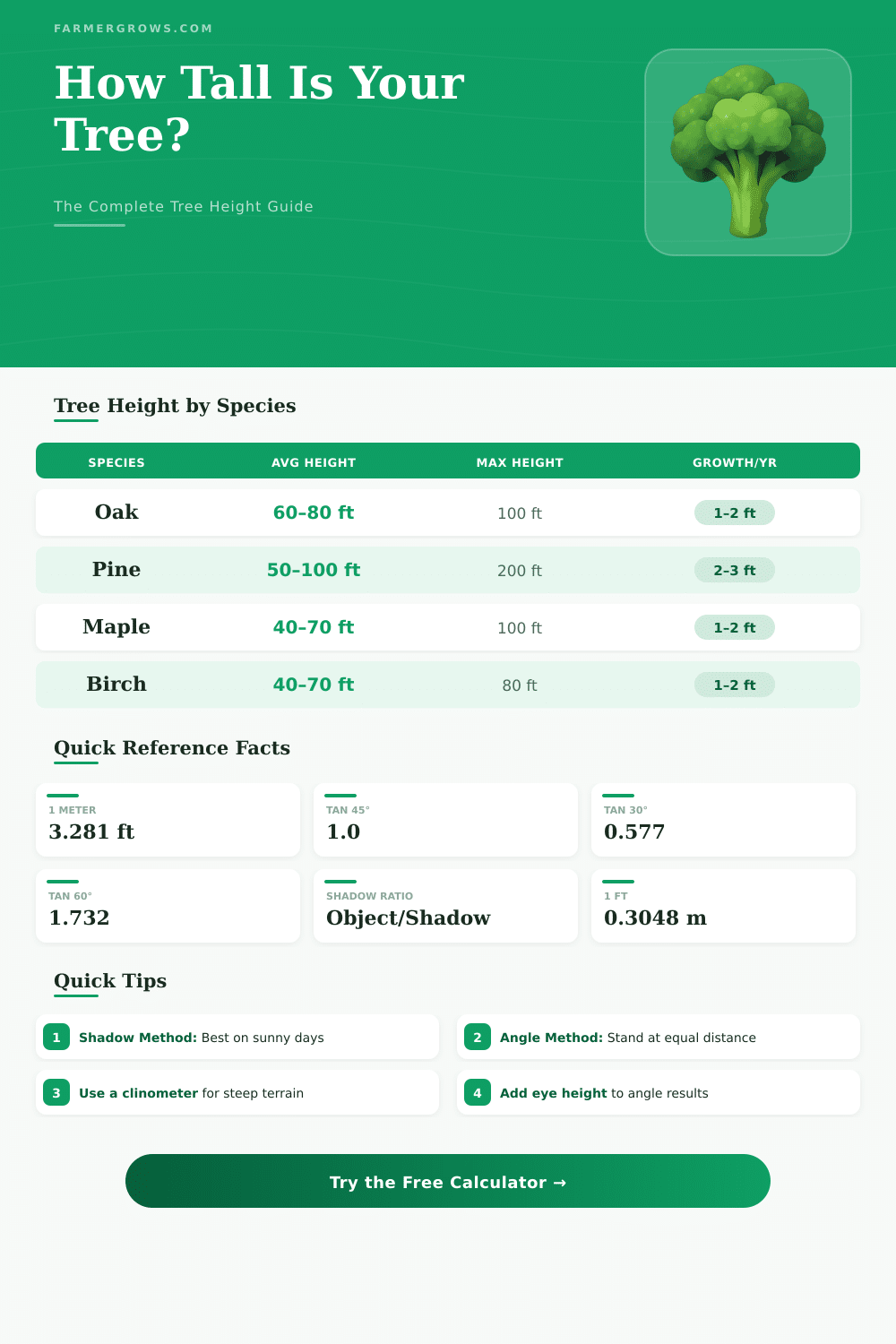 Tree Height Calculator – Measure Any Tree Accurately