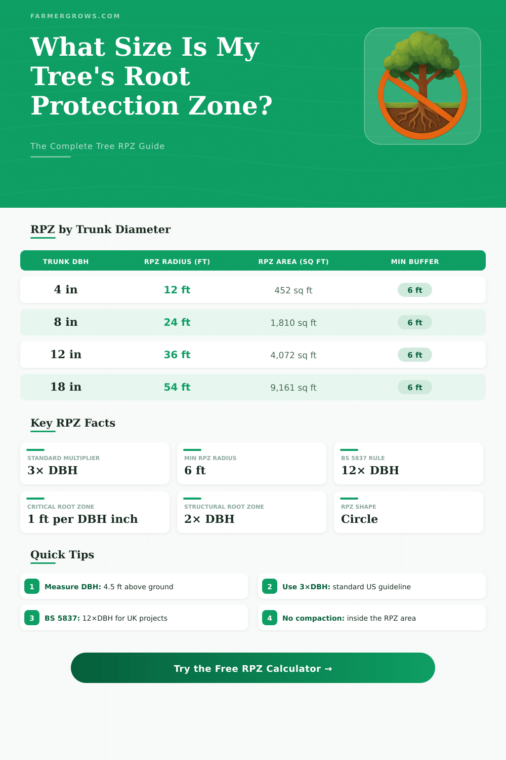 Tree Root Protection Zone Calculator – Protect Your Trees