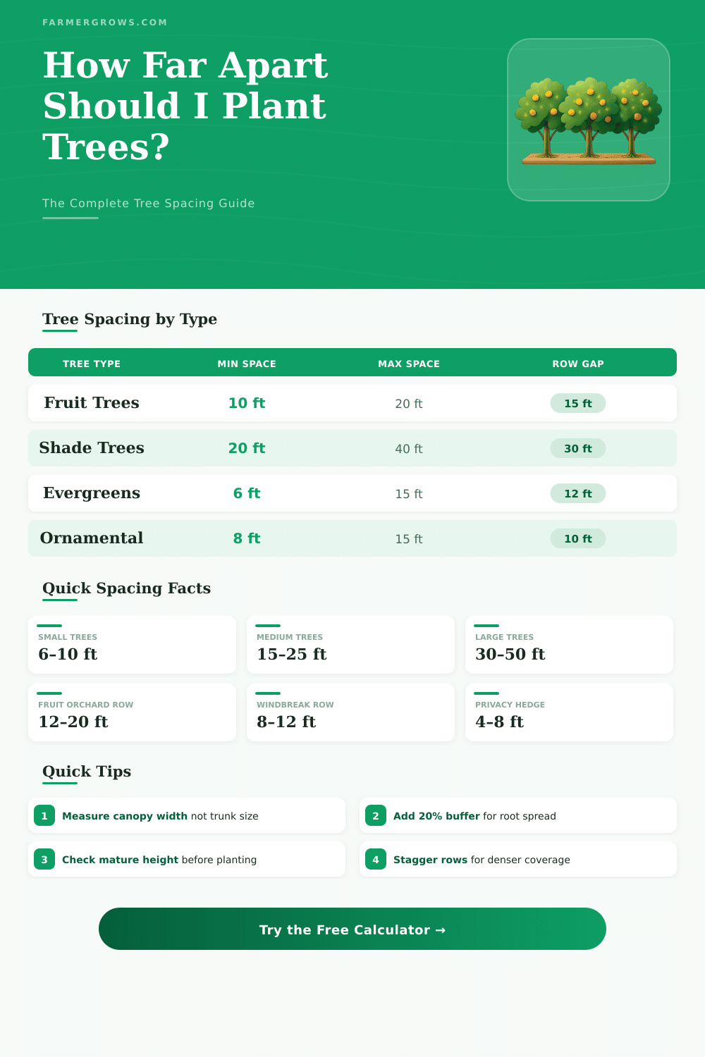 Tree Spacing Calculator: How Far Apart Should I Plant Trees?