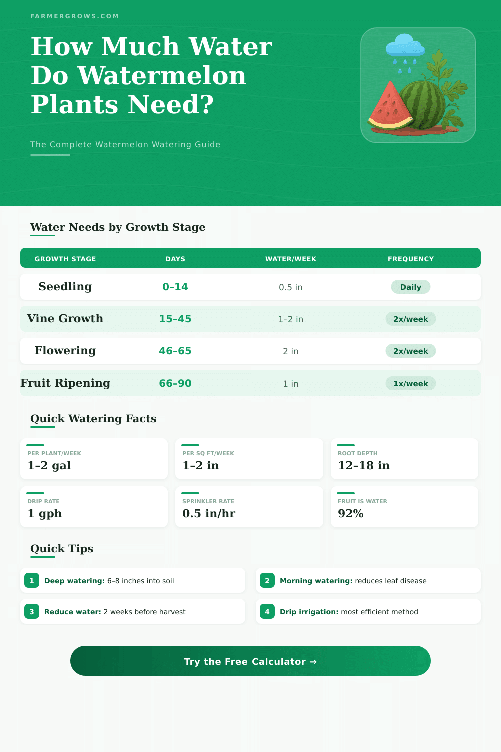 Watermelon Plant Water Calculator – How Much Water Do They Need?