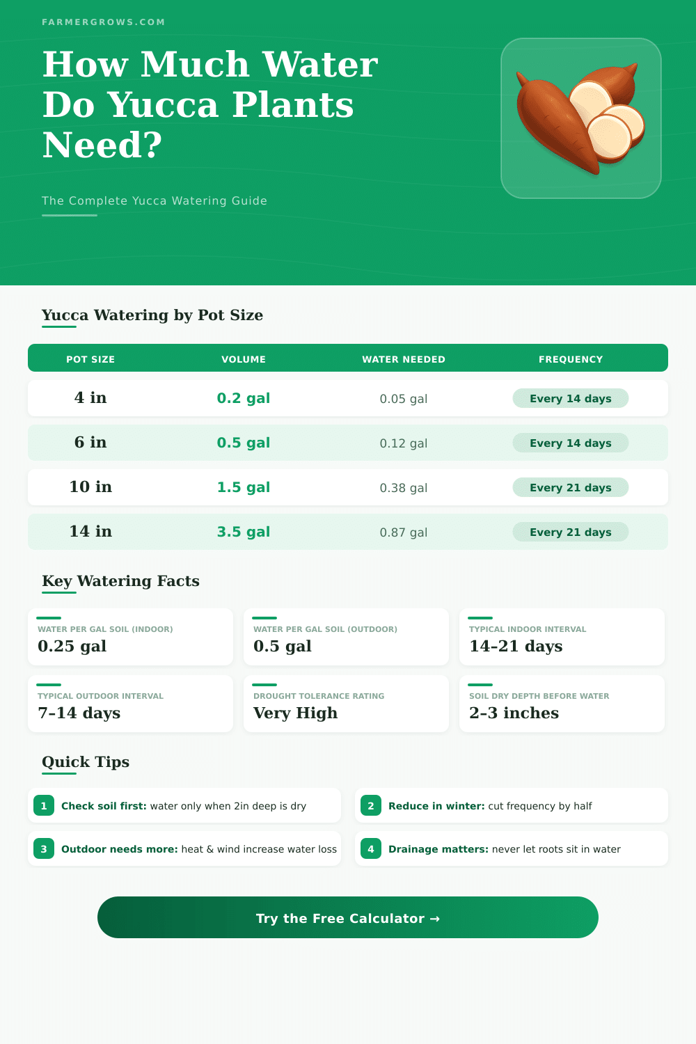 Yucca Plant Water Calculator – How Much Water Do I Need?