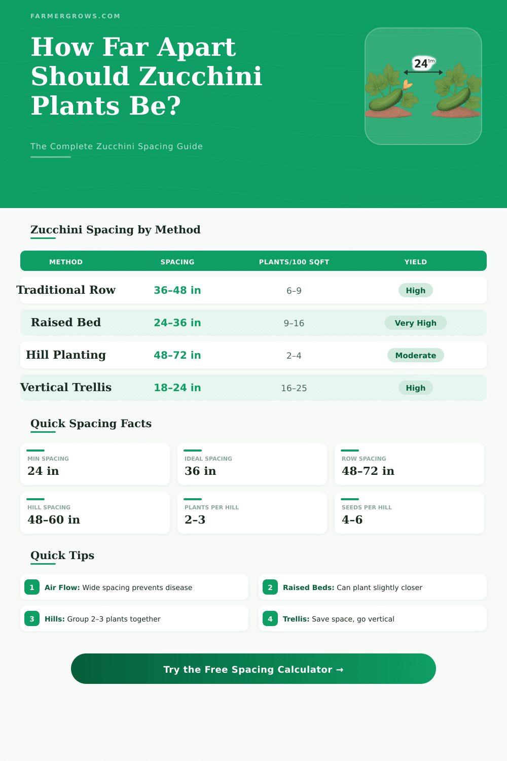 Zucchini Plant Spacing Calculator – How Far Apart to Plant?