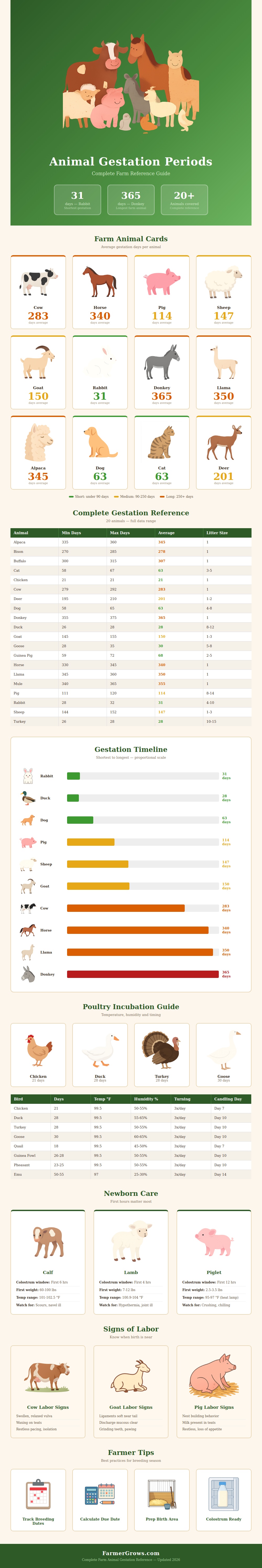 Animal Gestation Period Chart