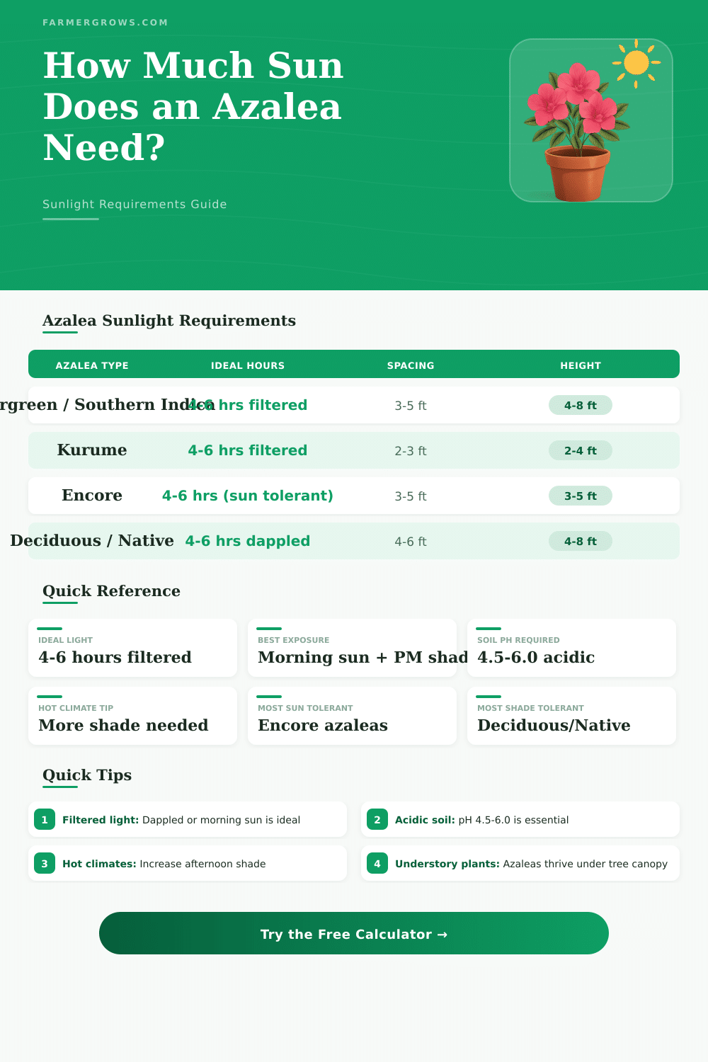 Azalea Sunlight Calculator: How Much Sun Do Azaleas Need