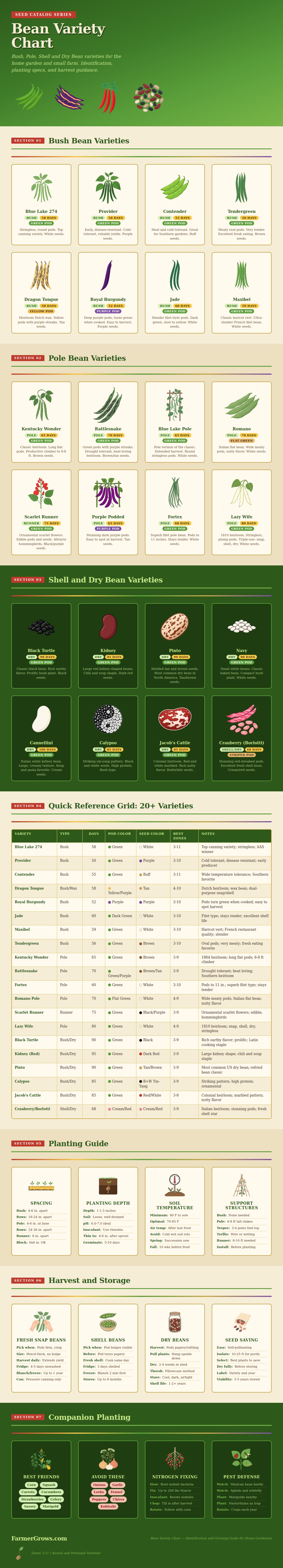 Bean Variety Chart