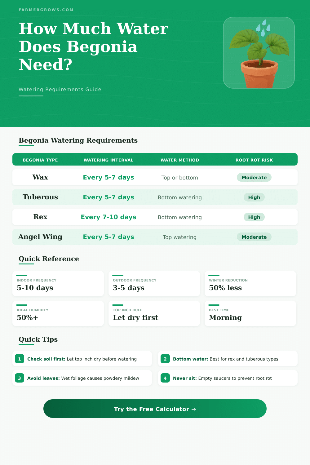 Begonia Watering Calculator: How Much Water Does It Need