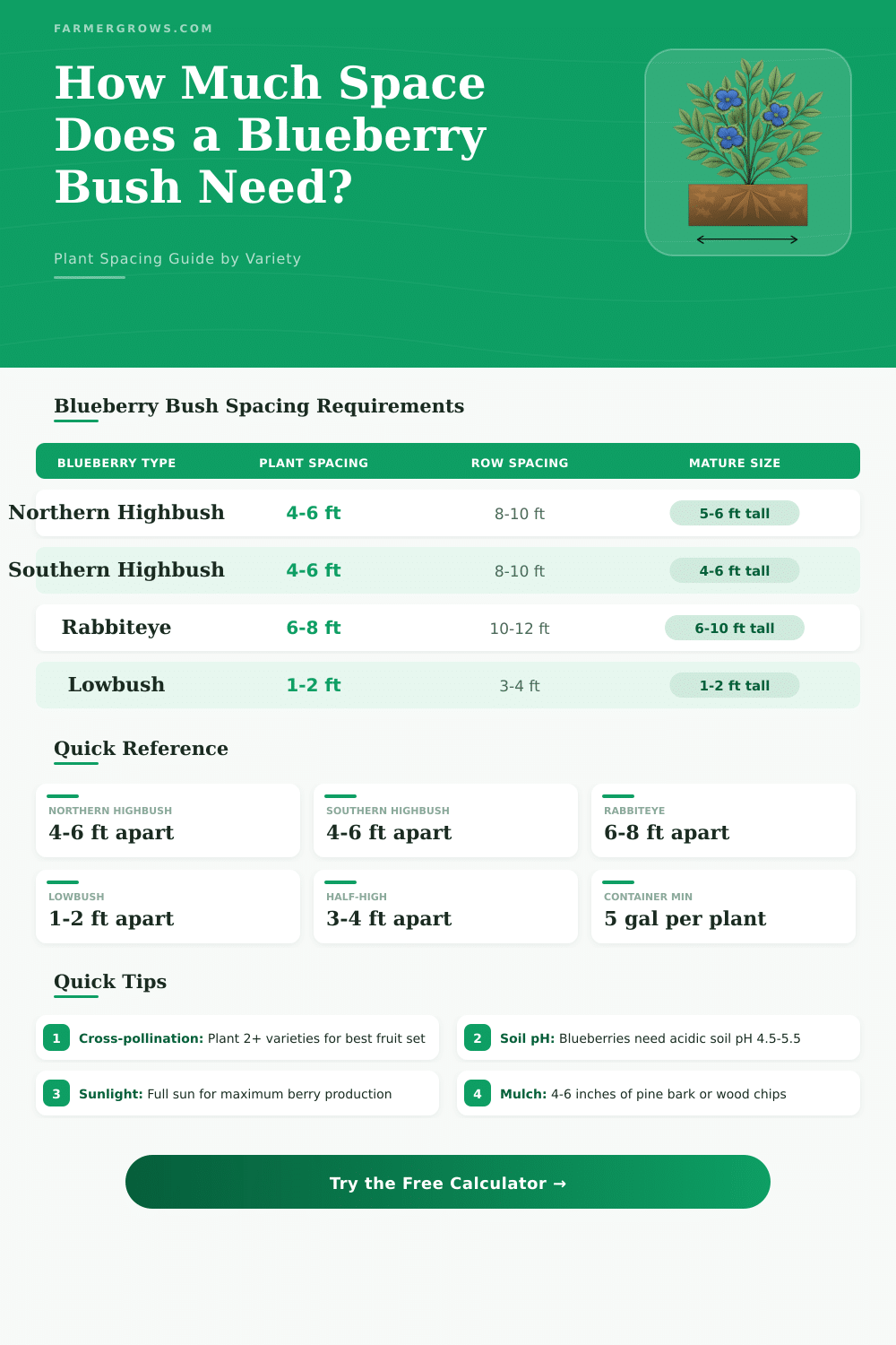 Blueberry Bush Spacing Calculator: How Much Space Needed?