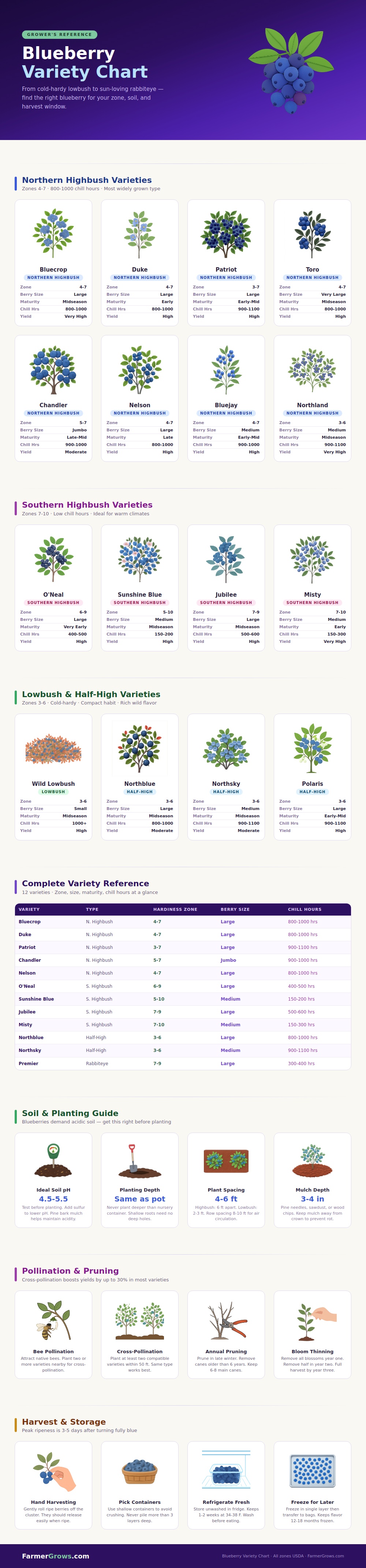 Blueberry Variety Chart