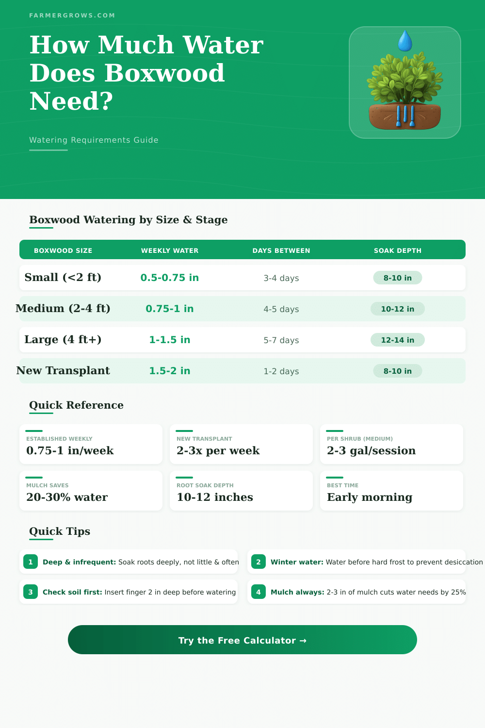Boxwood Watering Calculator: How Much Water It Needs