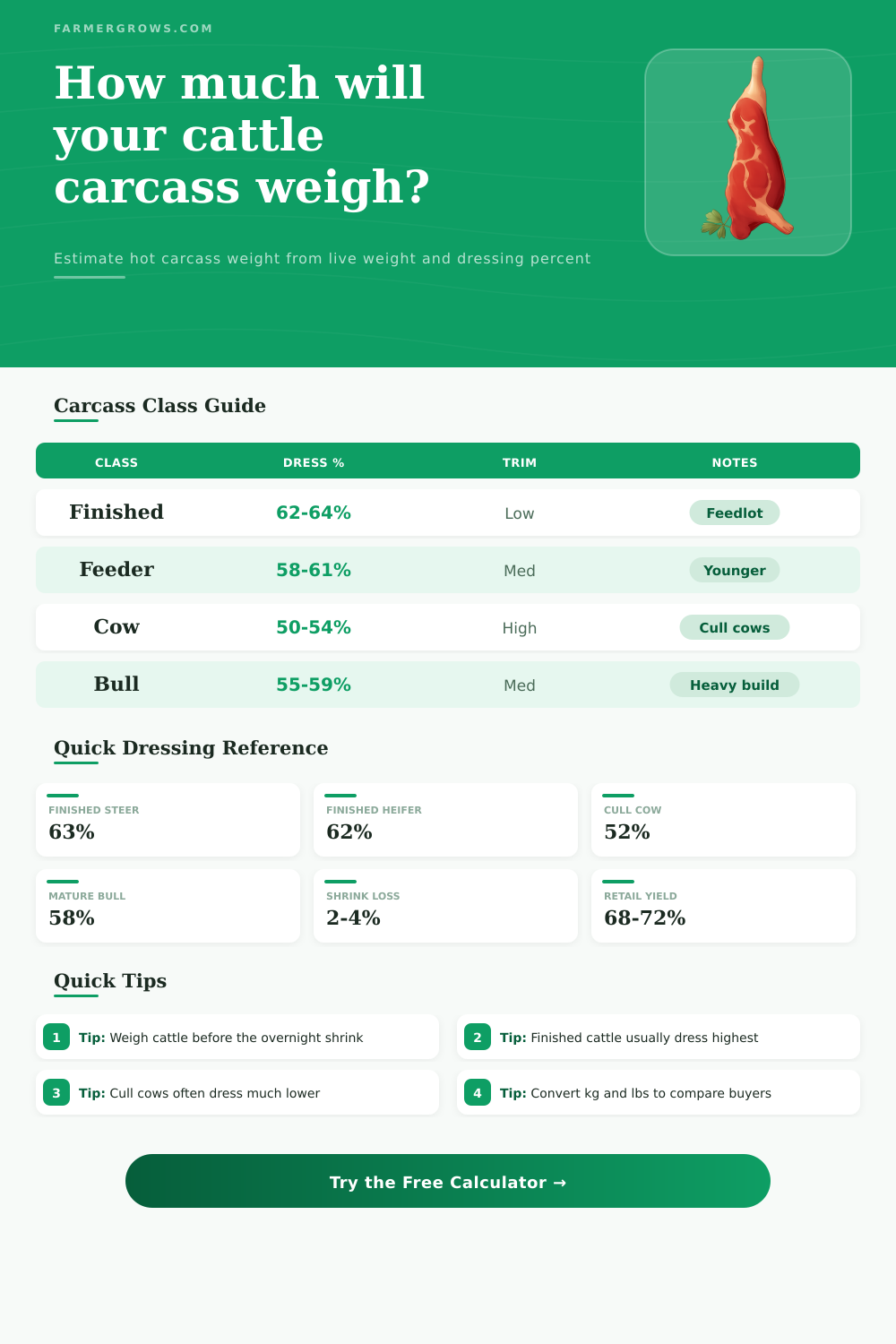 Cattle Carcass Weight Calculator – Estimate Hanging Weight