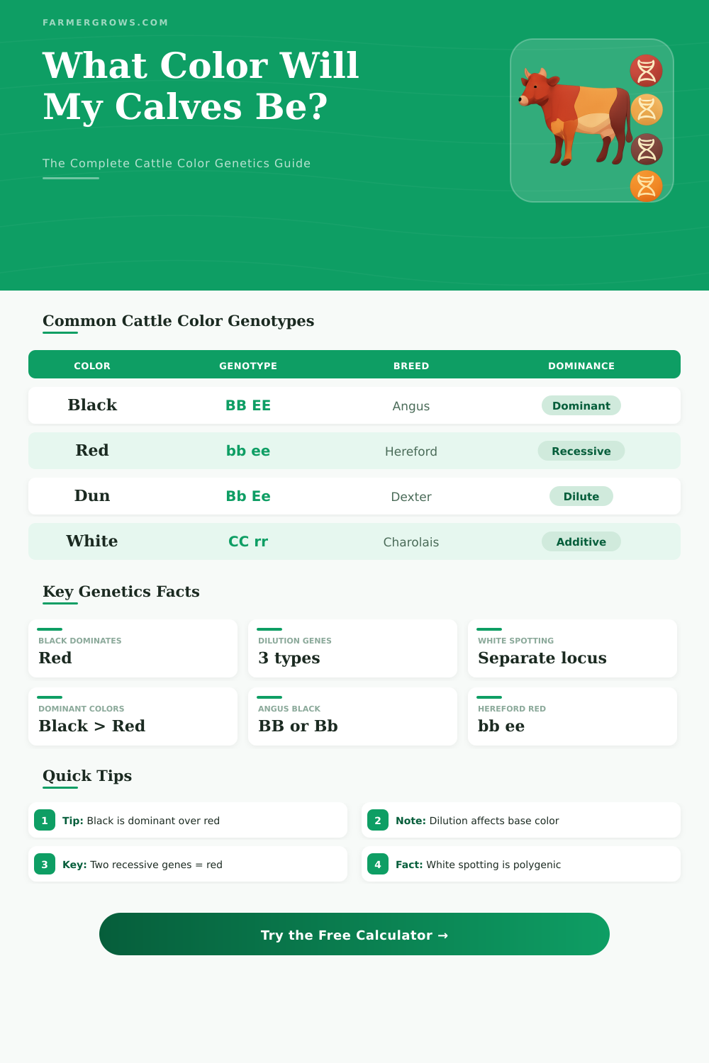 Cattle Color Genetics Calculator: Predict Calf Coat Colors