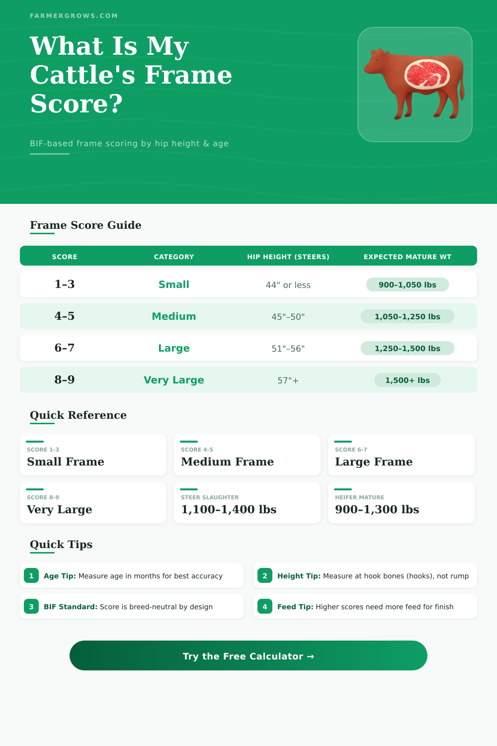 Cattle Frame Score Calculator – BIF Hip Height Tool