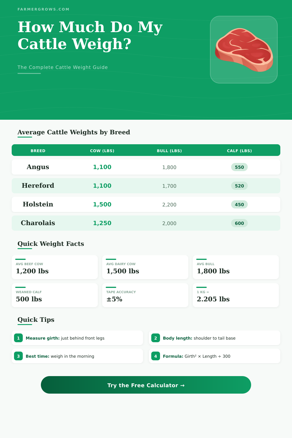 Cattle Weight Calculator: Estimate Live Weight Fast