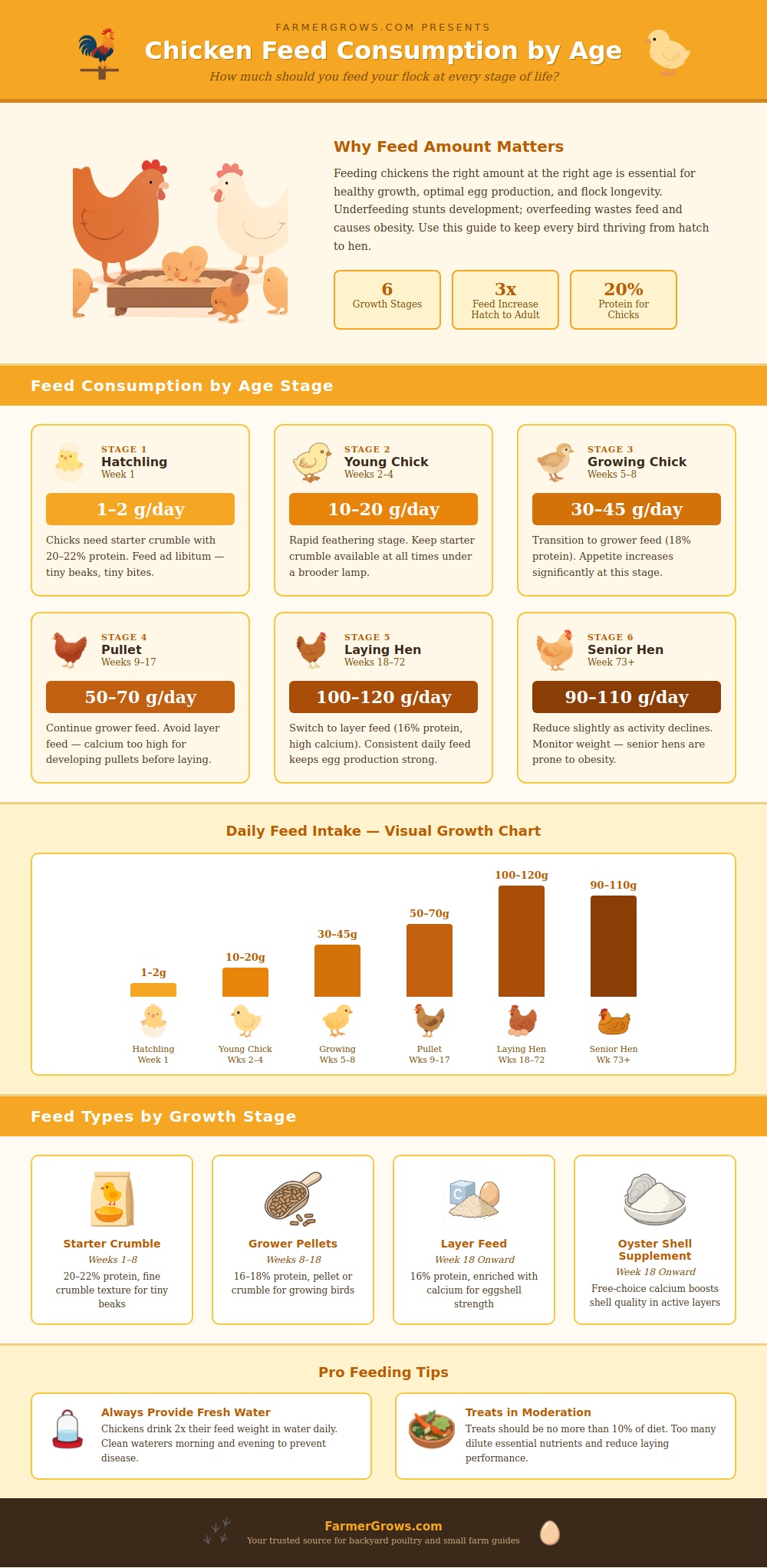 Chicken Feed Consumption Chart By Age