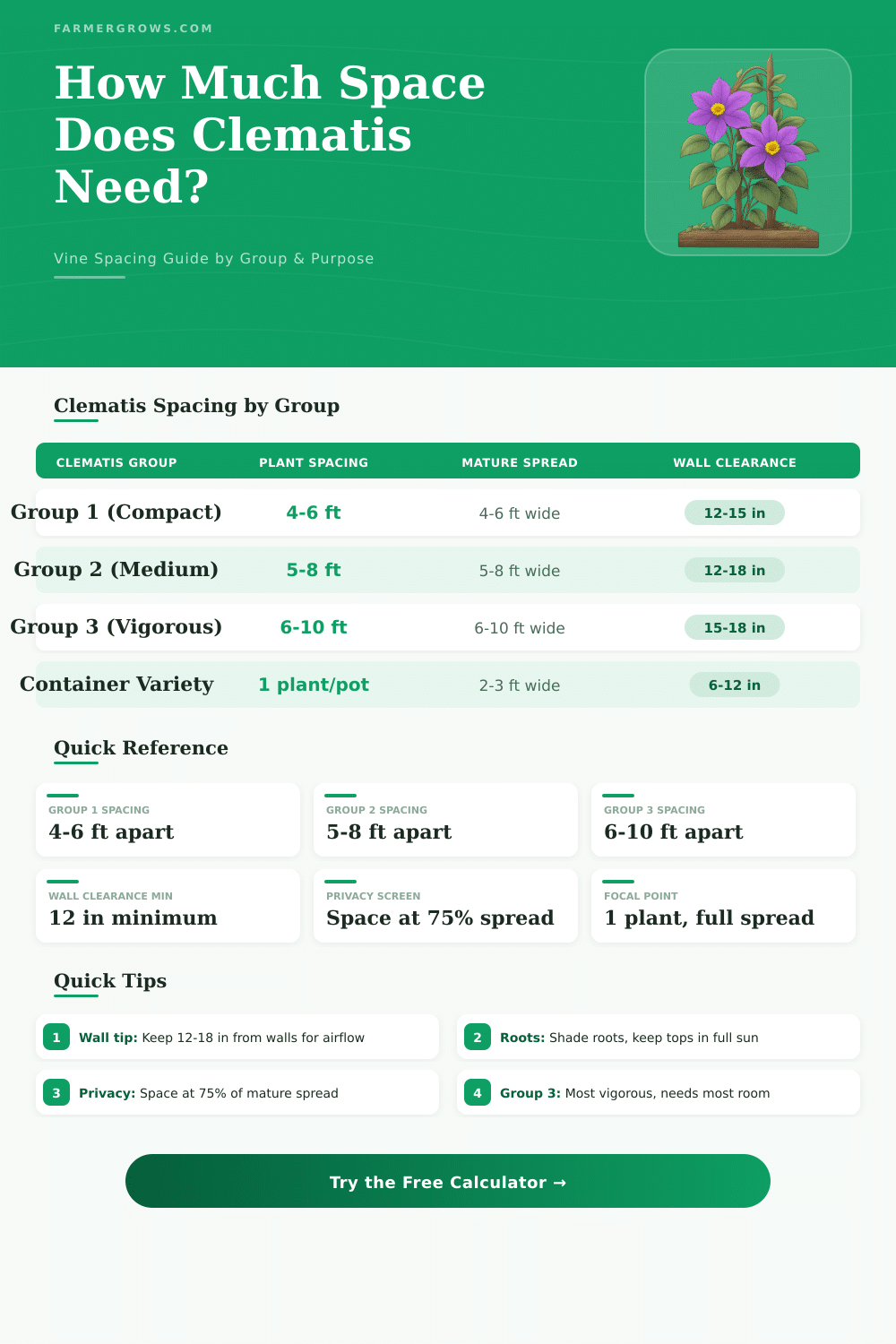 Clematis Spacing Calculator: How Much Space Does Clematis Need?