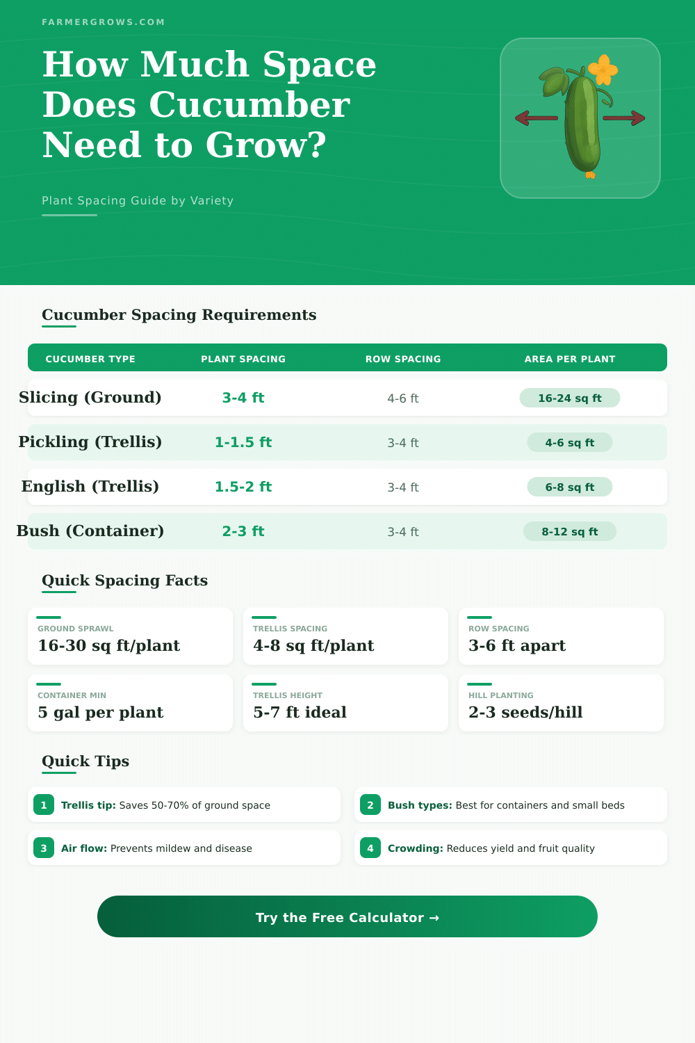 Cucumber Spacing Calculator: How Much Space Do Cucumbers Need?