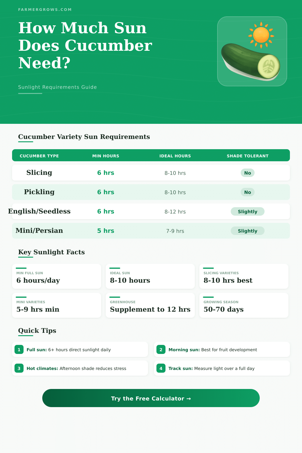 Cucumber Sun Calculator: How Much Sun Does Cucumber Need?